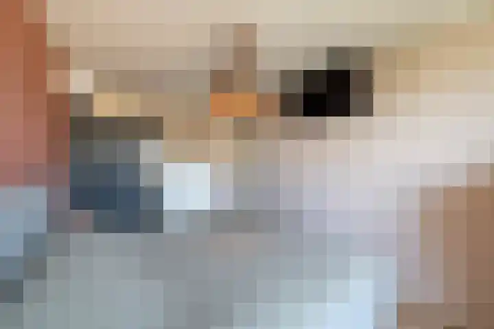 Het Laar 16 Almelo thumbnail 18