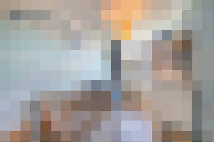 Het Laar 16 Almelo thumbnail 19