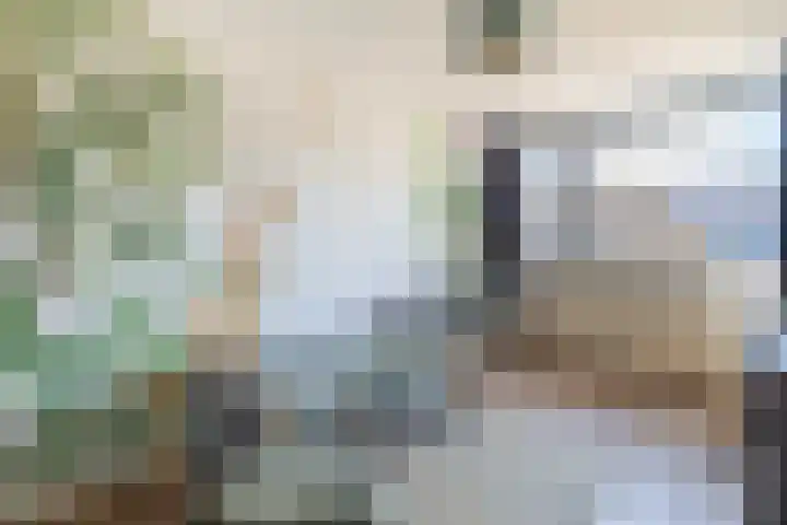 Het Laar 16 Almelo thumbnail 21