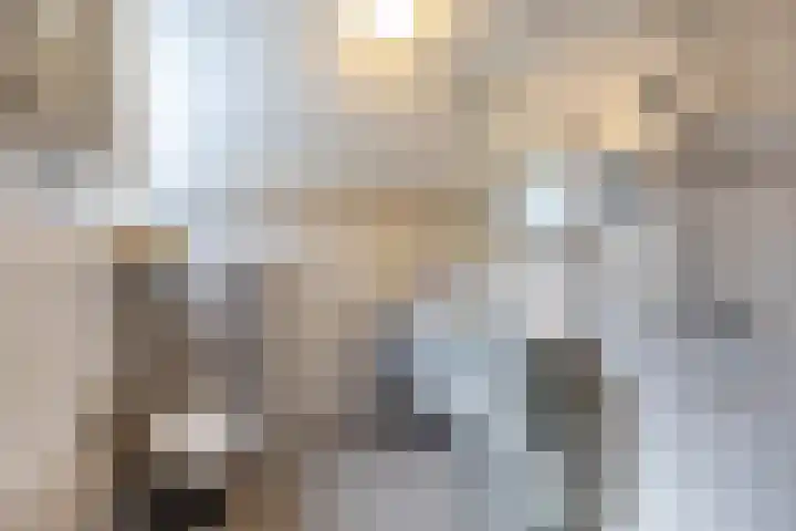 Het Laar 16 Almelo thumbnail 4