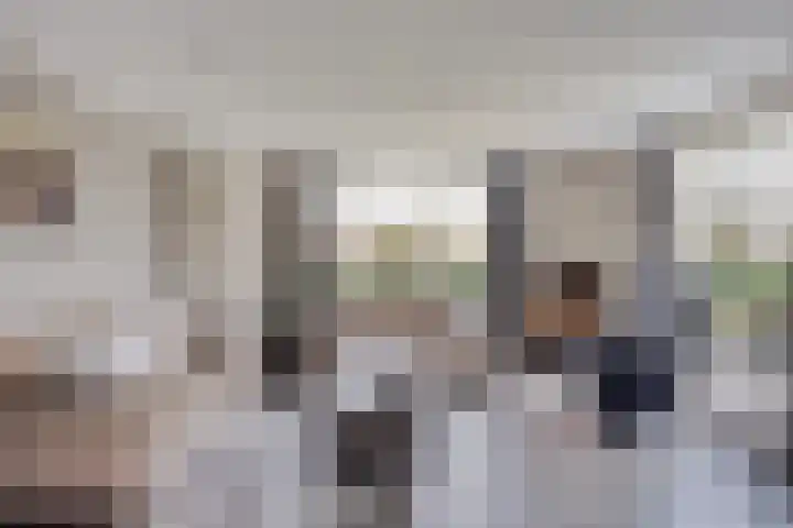 Het Laar 17 Maarheeze thumbnail 10