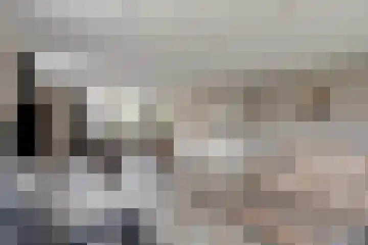Het Laar 17 Maarheeze thumbnail 13