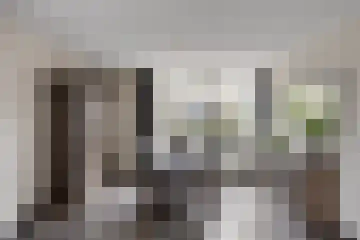 Het Laar 17 Maarheeze thumbnail 14
