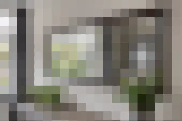 Het Laar 17 Maarheeze thumbnail 15