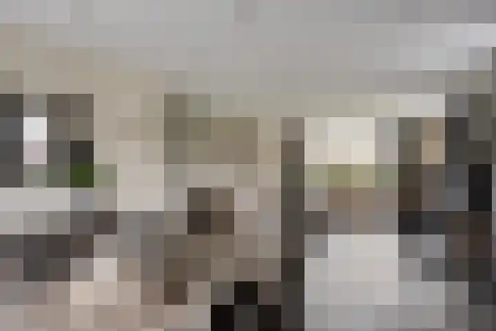 Het Laar 17 Maarheeze thumbnail 16