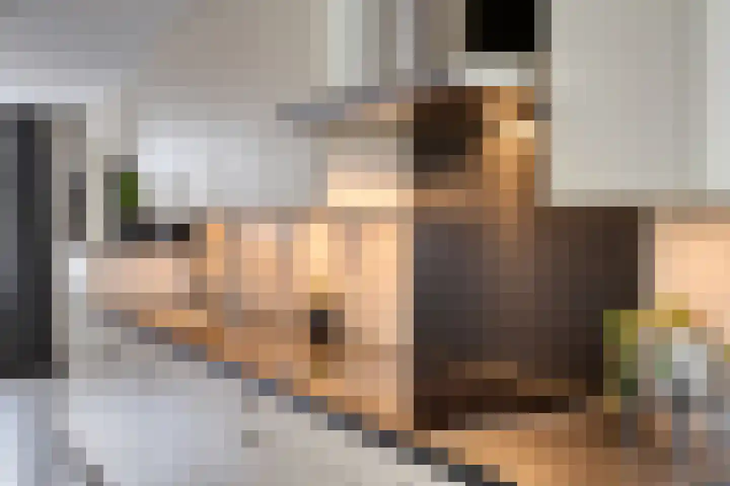 Het Laar 17 Maarheeze thumbnail 19