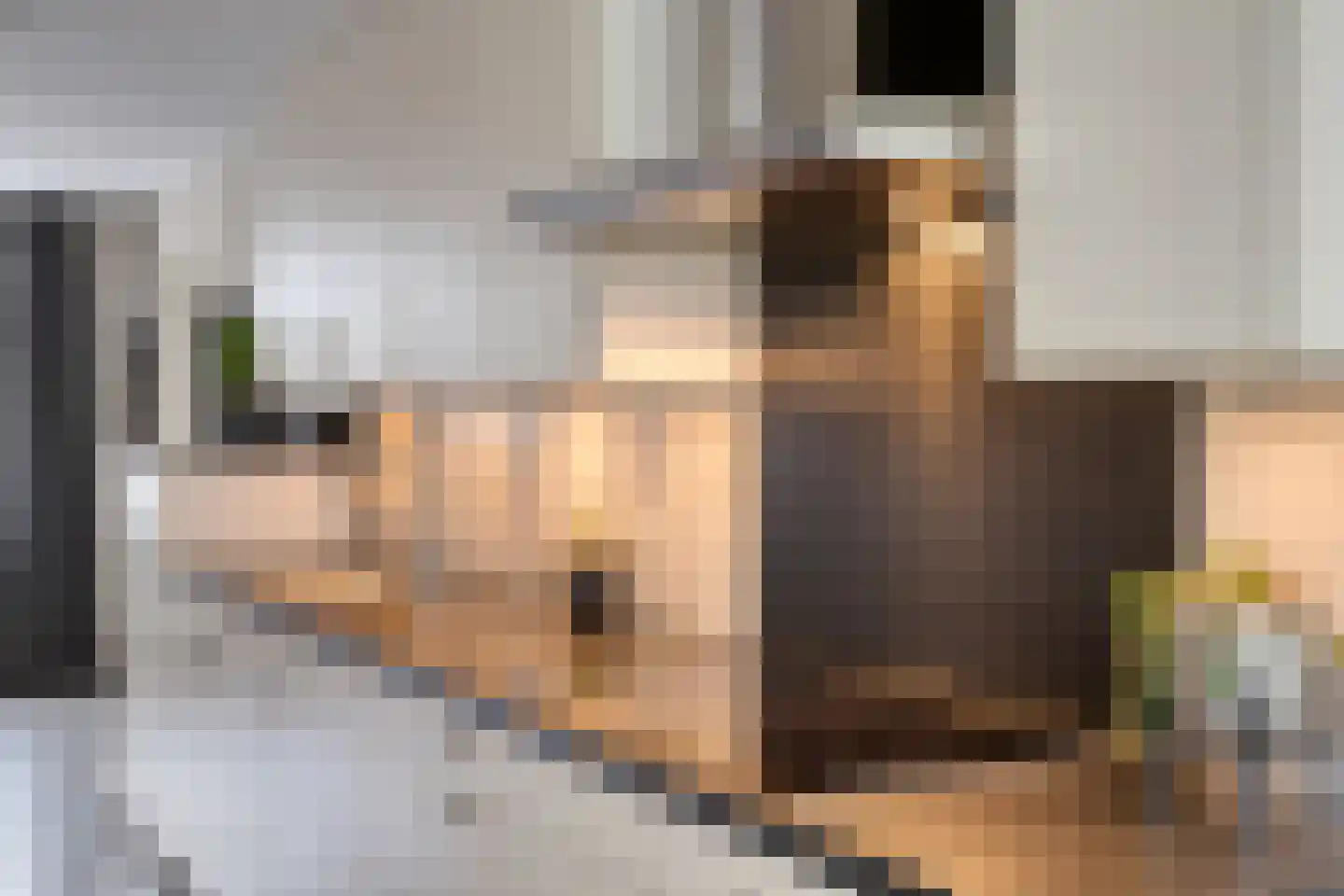 Het Laar 17 Maarheeze thumbnail 19