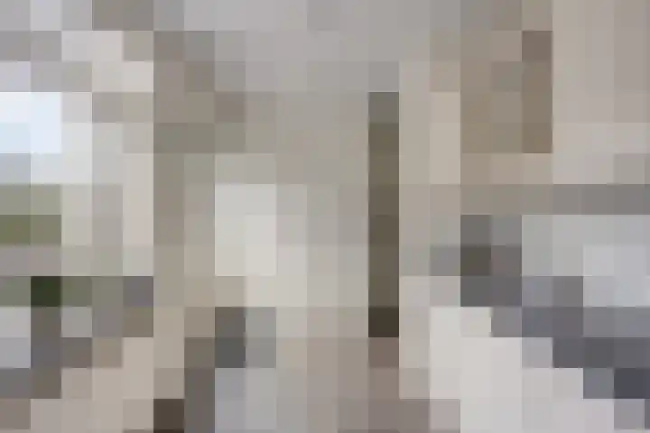 Het Laar 17 Maarheeze thumbnail 20