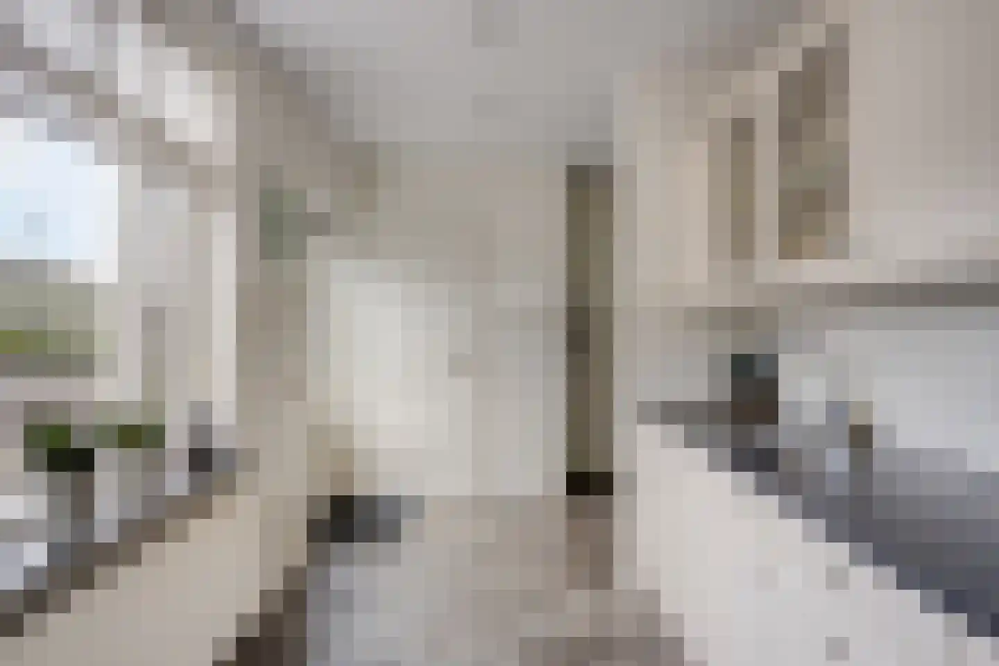 Het Laar 17 Maarheeze thumbnail 20