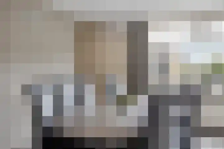 Het Laar 17 Maarheeze thumbnail 21