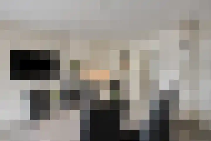 Het Laar 17 Maarheeze thumbnail 22