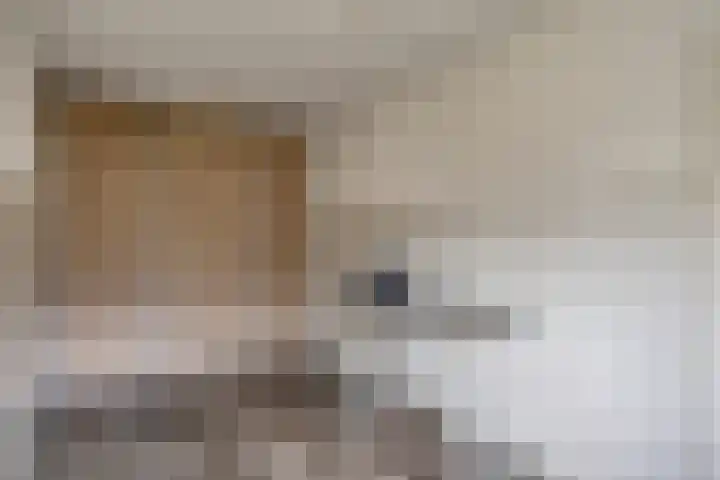 Het Laar 17 Maarheeze thumbnail 24