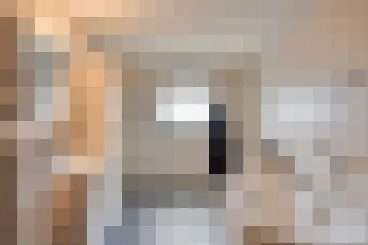 Het Laar 17 Maarheeze thumbnail 26