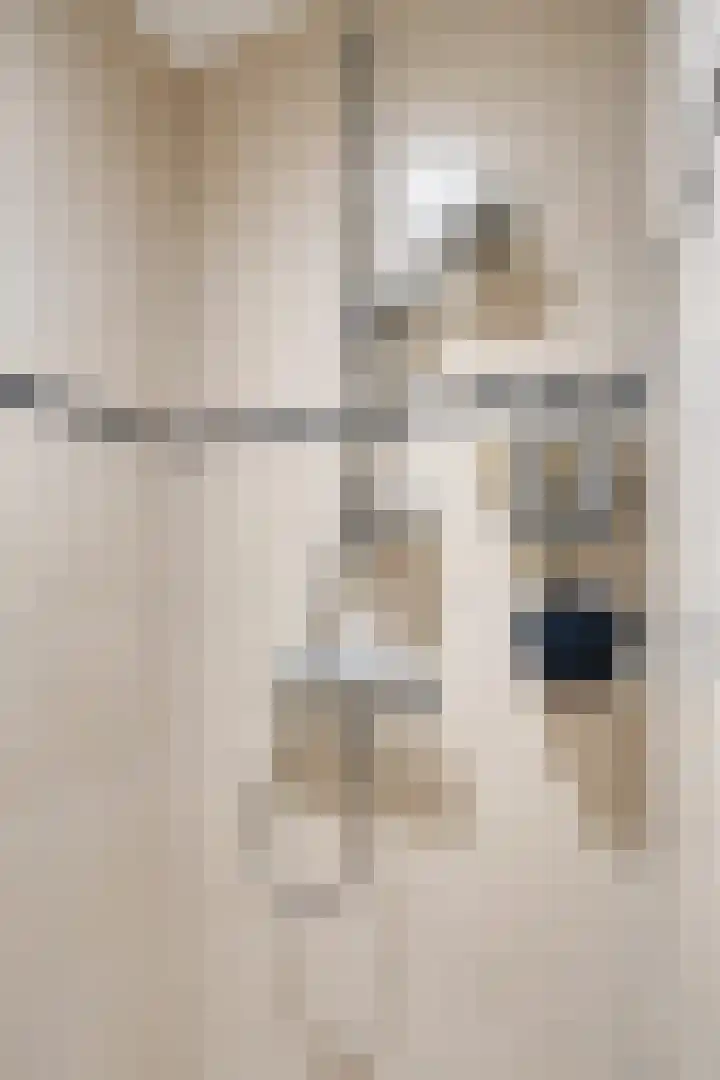 Het Laar 17 Maarheeze thumbnail 27