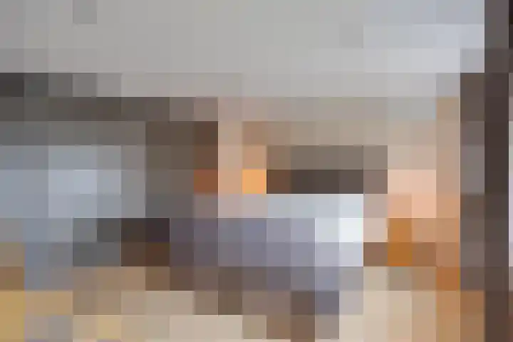 Het Laar 17 Maarheeze thumbnail 29