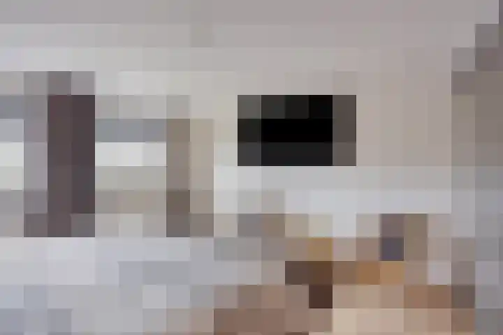 Het Laar 17 Maarheeze thumbnail 30