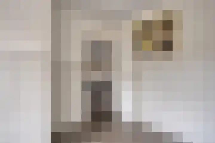 Het Laar 17 Maarheeze thumbnail 31