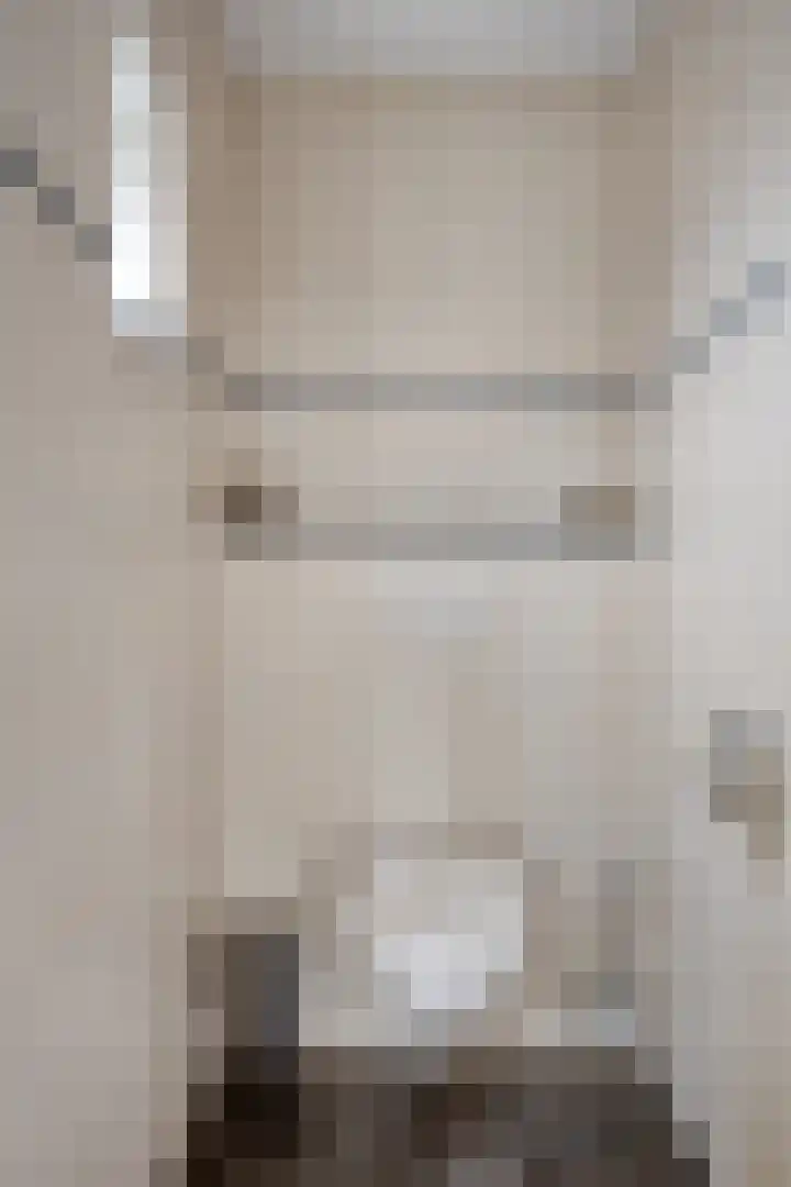 Het Laar 17 Maarheeze thumbnail 32