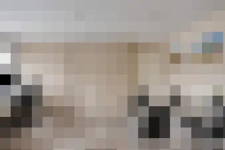 Het Laar 17 Maarheeze thumbnail 33