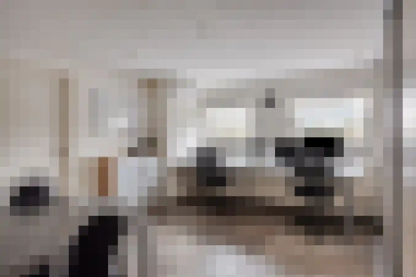 Het Laar 17 Maarheeze thumbnail 34