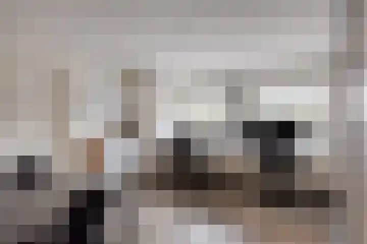 Het Laar 17 Maarheeze thumbnail 34