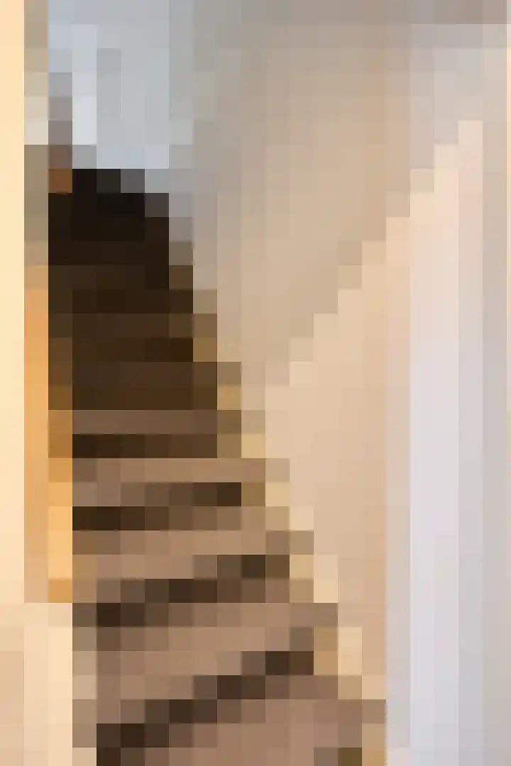 Het Laar 17 Maarheeze thumbnail 35