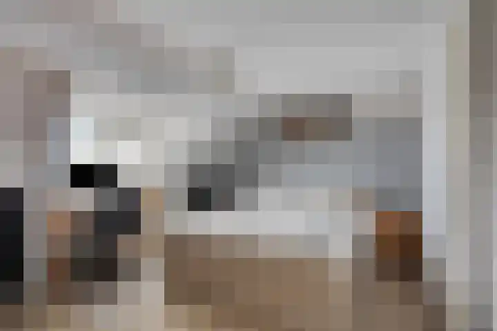 Het Laar 17 Maarheeze thumbnail 37