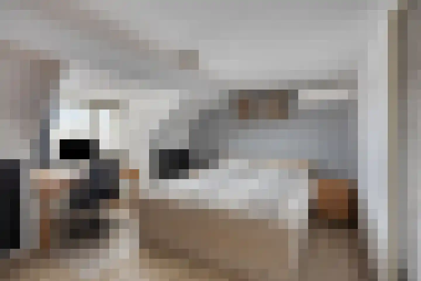 Het Laar 17 Maarheeze thumbnail 37