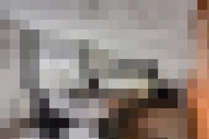 Het Laar 17 Maarheeze thumbnail 39