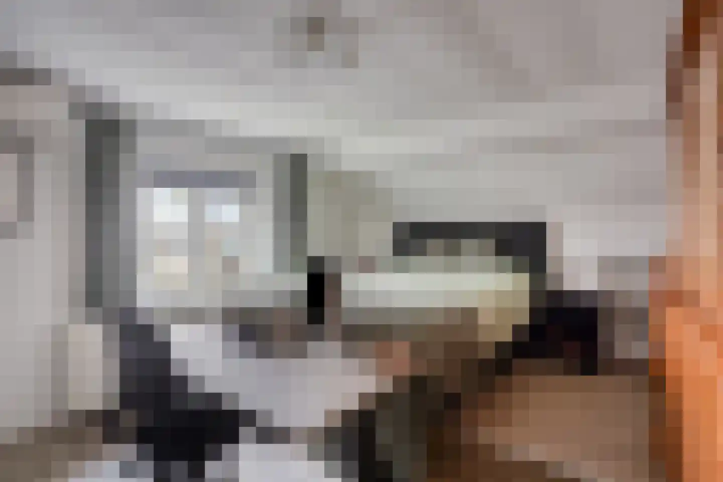 Het Laar 17 Maarheeze thumbnail 39