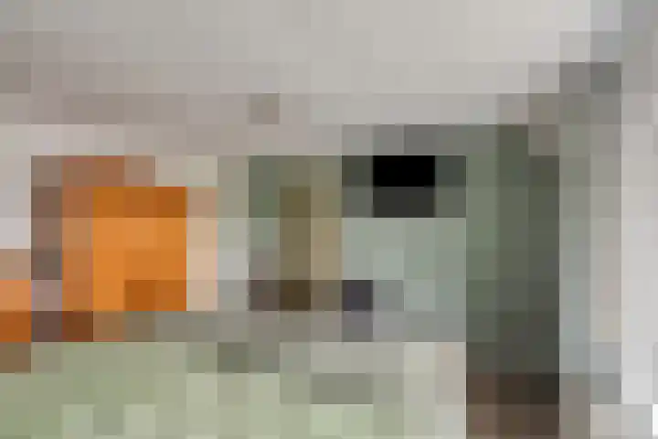 Het Laar 17 Maarheeze thumbnail 40