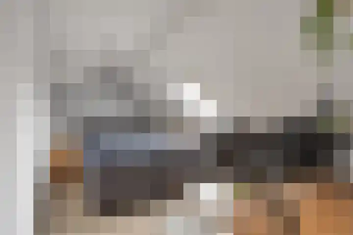 Het Laar 17 Maarheeze thumbnail 41