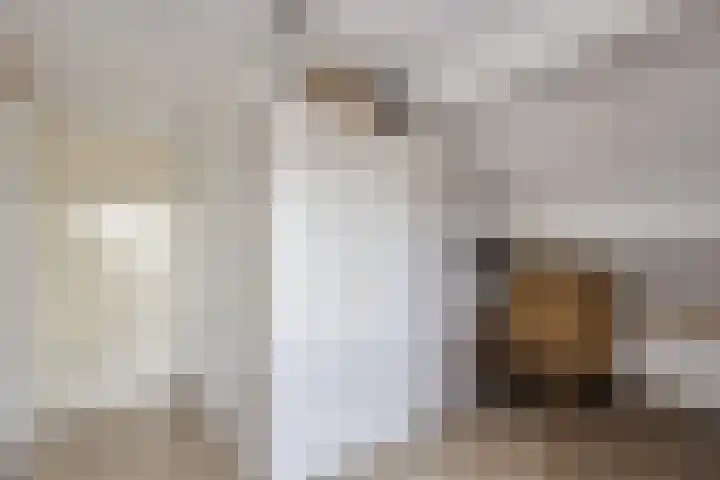 Het Laar 17 Maarheeze thumbnail 43