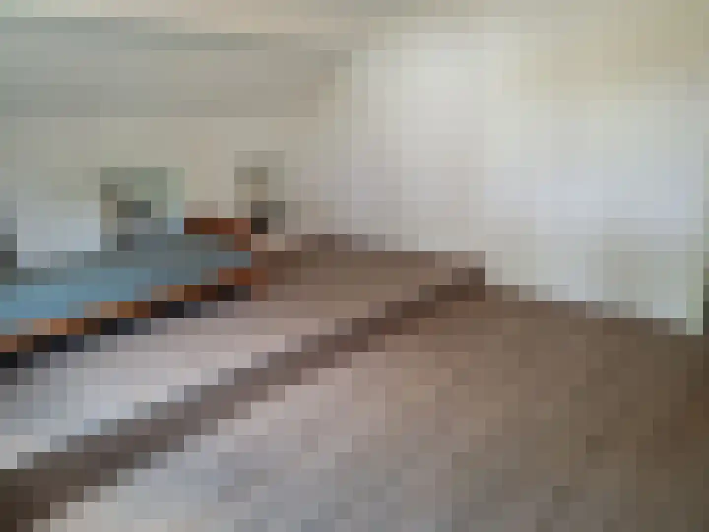 Het Laar 17 Maarheeze thumbnail 45