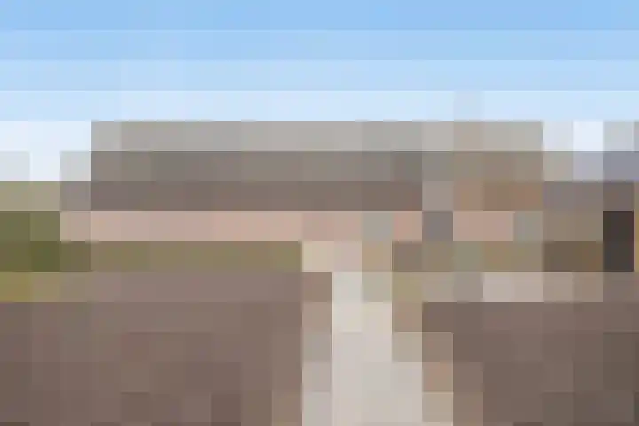 Het Laar 17 Maarheeze thumbnail 50