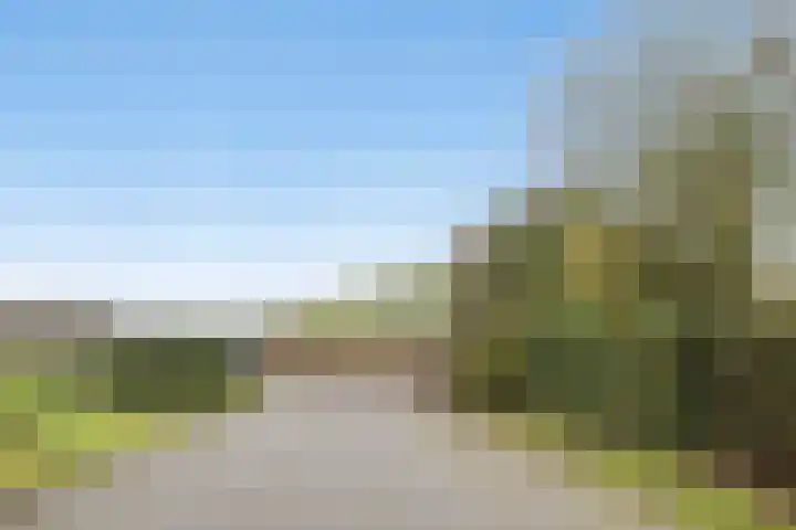 Het Laar 17 Maarheeze thumbnail 56