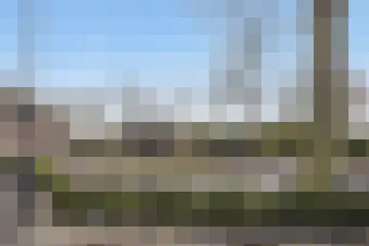 Het Laar 17 Maarheeze thumbnail 57