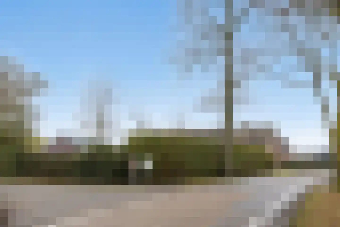 Het Laar 17 Maarheeze thumbnail 6