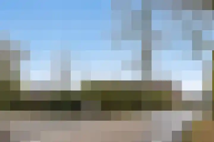 Het Laar 17 Maarheeze thumbnail 6