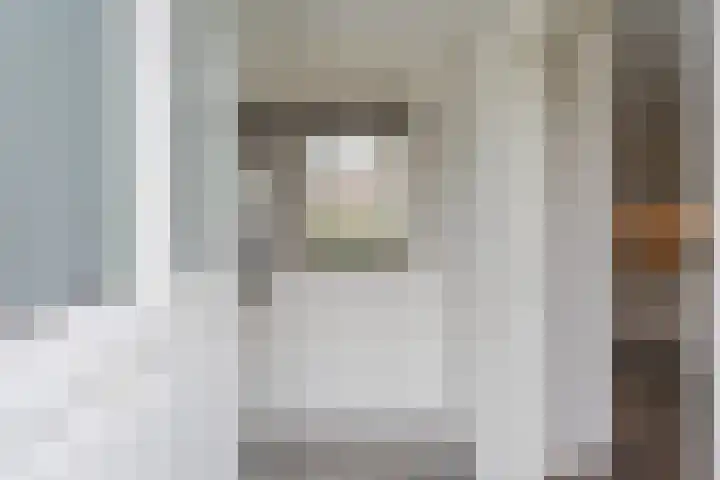 Het Laar 17 Maarheeze thumbnail 7
