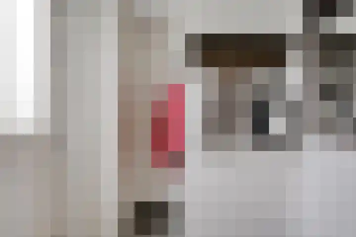 Het Laar 17 Maarheeze thumbnail 8