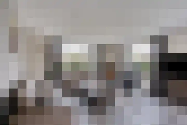 Het Laar 17 Maarheeze thumbnail 9