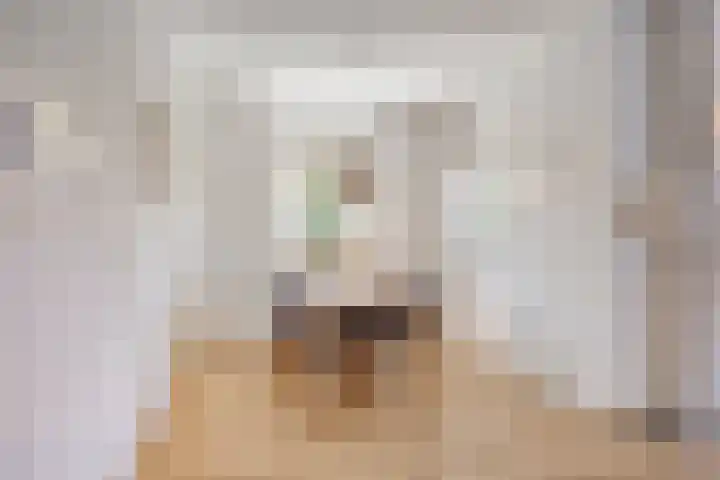 Het Laar 185 Deventer thumbnail 11