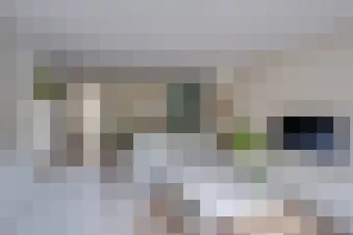 Het Laar 185 Deventer thumbnail 12