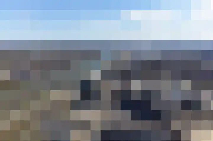 Het Laar 185 Deventer thumbnail 19