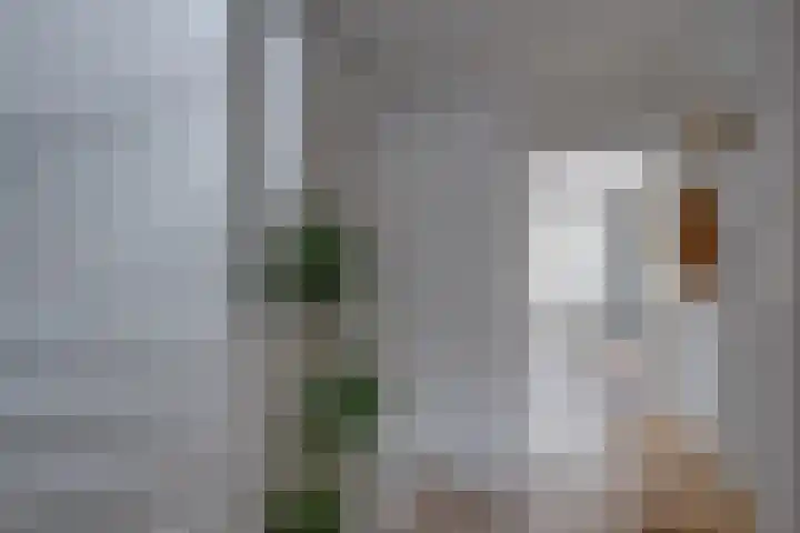 Het Laar 185 Deventer thumbnail 22