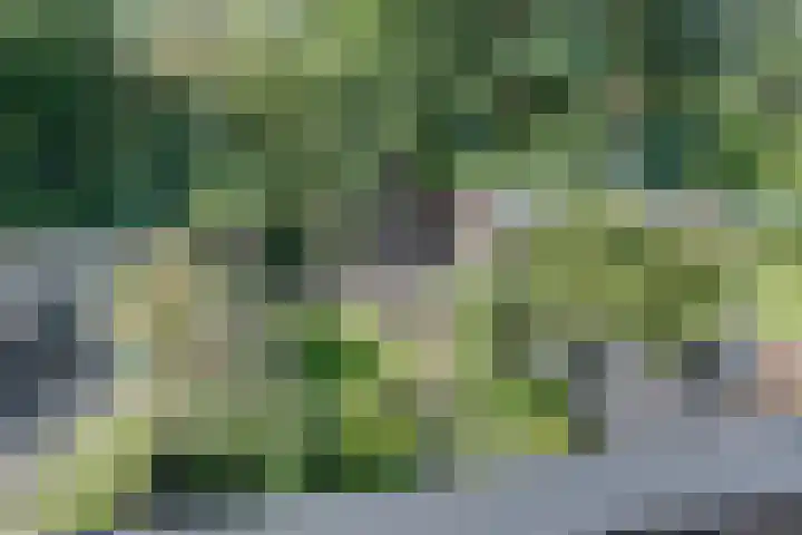 Het Laar 185 Deventer thumbnail 27