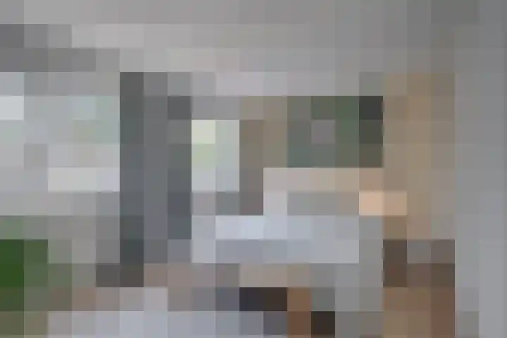 Het Laar 185 Deventer thumbnail 28