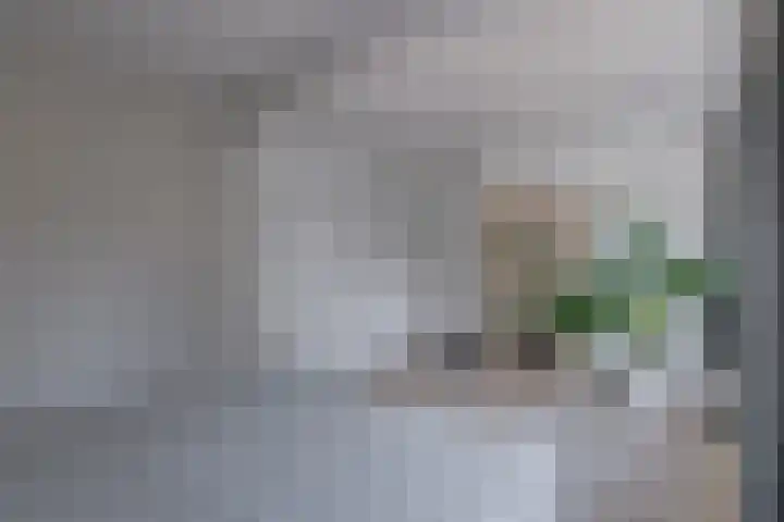 Het Laar 185 Deventer thumbnail 29