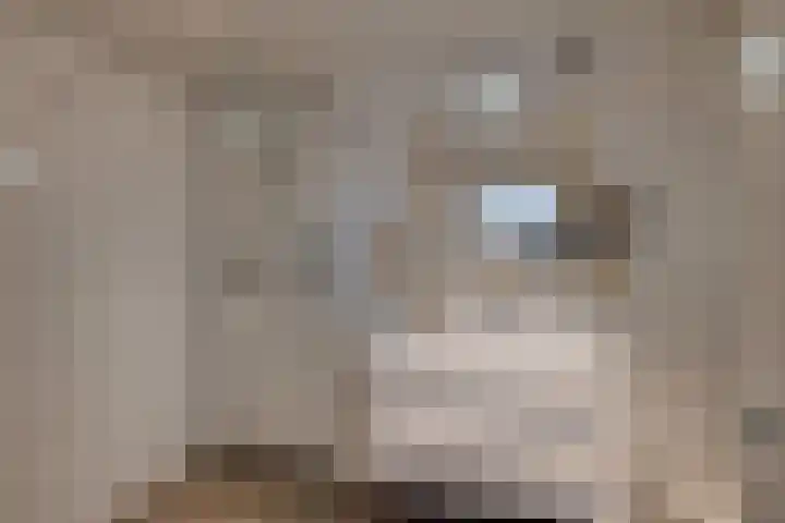 Het Laar 185 Deventer thumbnail 30